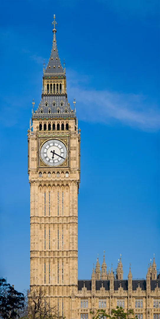 Quiz Image